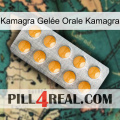 Kamagra Gelée Orale Kamagra levitra1